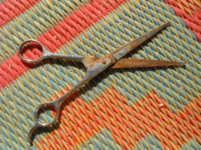 DSCF9730.JPG