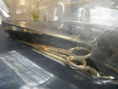 DSCF9793.JPG