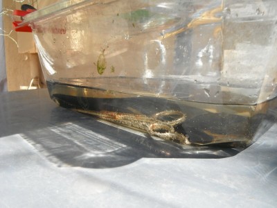 DSCF9795.JPG