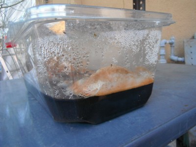DSCF9796.JPG