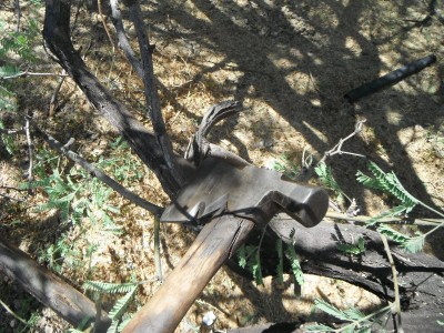DSCF1310.JPG