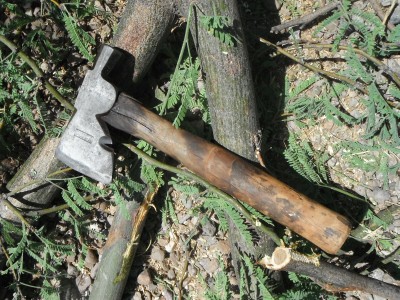 DSCF1312.JPG