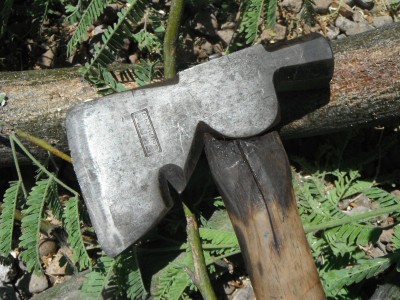 DSCF1313.JPG