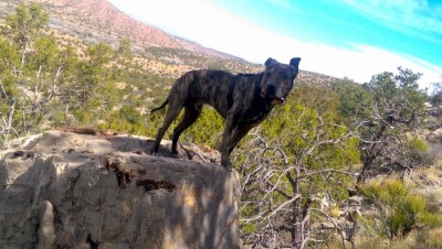 On the trail.