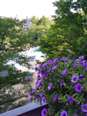 IMG_20210605_154825664_HDR.jpg