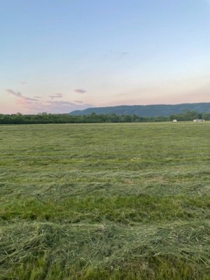 IMG_0056.jpg