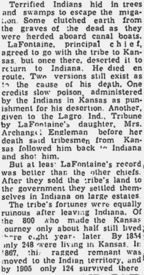 image.jpeg