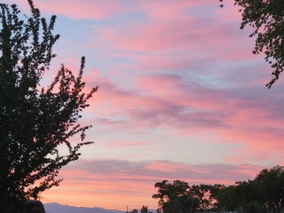 20210616_203805.jpg