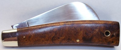 MM Hawkbill 1.JPG