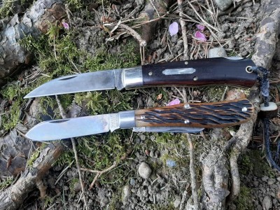 thumbnail_20210424_113141.jpg