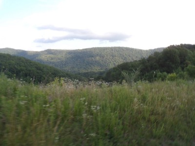 100_0699.JPG