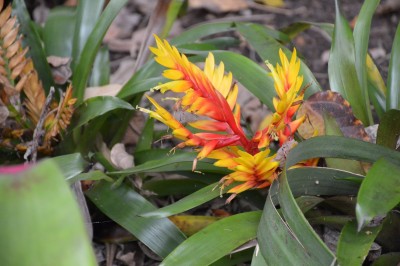 DSC_0049.JPG