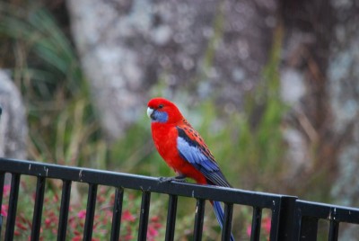 DSC_3080.JPG