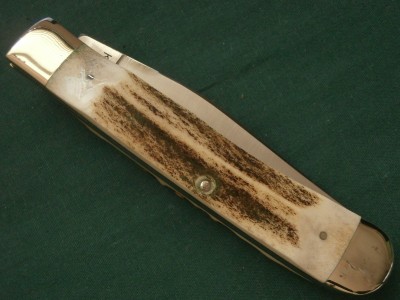 Parker Eagle