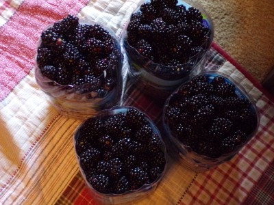 100_0732.JPG
