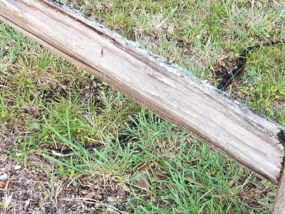 20210719_195723.jpg