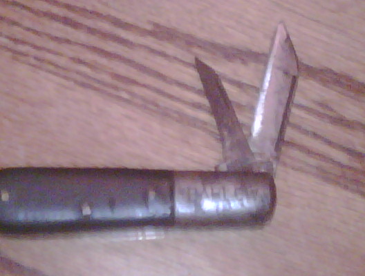IMG00054-20100512-1829.jpg