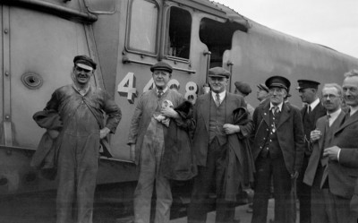 mallard75-2.jpg