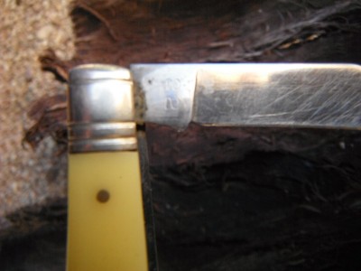 DSCF4219.JPG