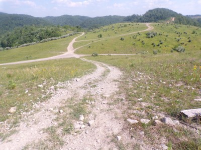 100_0515.JPG