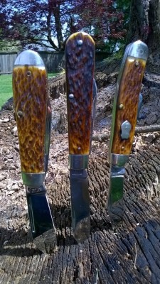 WP_20170509_022.jpg