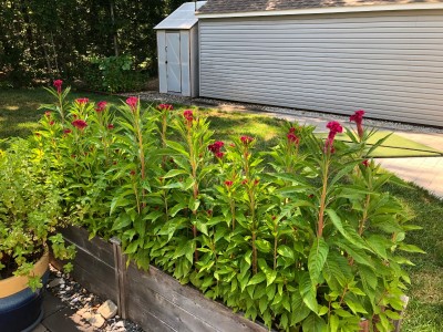 2021-07-23 15.48.26.jpg