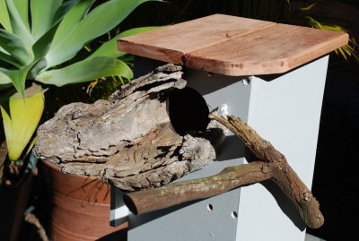 Nest-box