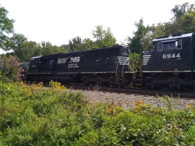IMG_20210914_132510274.jpg