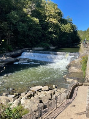 0002E5C2-0339-4D6B-A877-25C8A3623315.jpeg