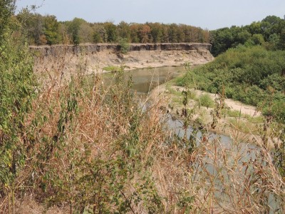 DSCN7306.JPG