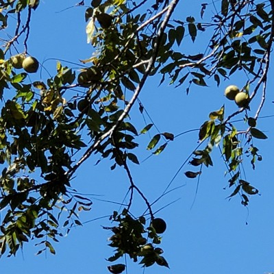 20210925_112236.jpg