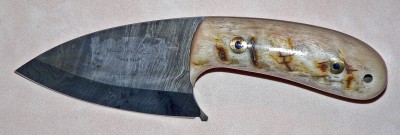 Moon Skinner Face W Ram Close 01.jpg