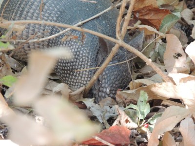 DSCN7320.JPG