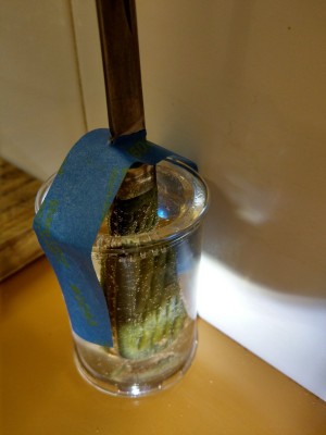 IMAG0644.jpg