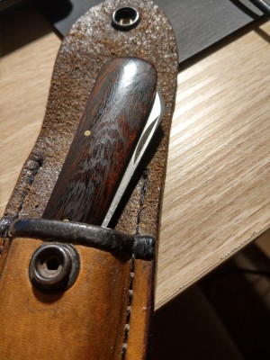 IMAG0653.jpg