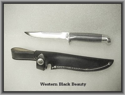 WesternBlackBeauty-1.jpg