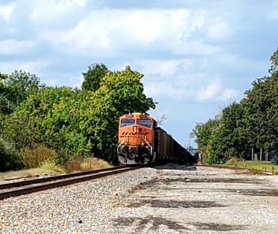 20211005_124151.jpg