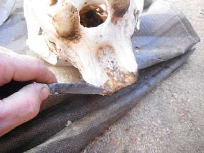 DSCF8092.JPG