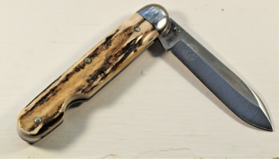 Northwoods Stag Forest Jack 2.jpg