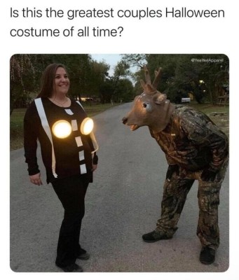 Deer in headlights.jpg