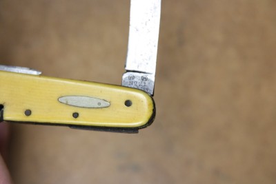 IMG_4461.JPG