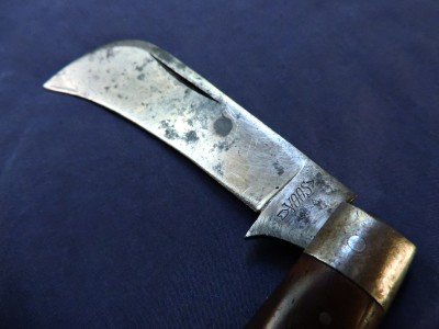 Voos Hawkbill 3.JPG