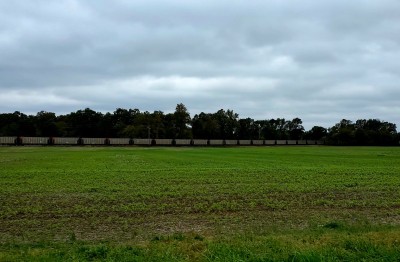 20211030_123117.jpg