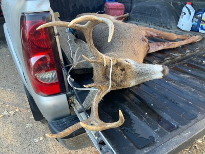 F3778632-9ADA-4BF9-BE5F-350507EB070B.jpeg
