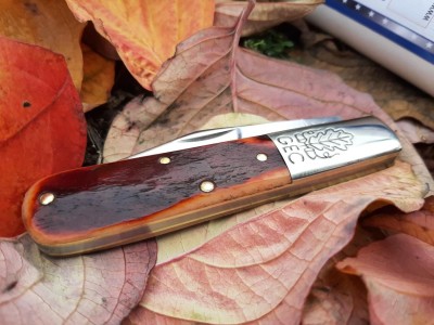 thumbnail_20211027_140543.jpg