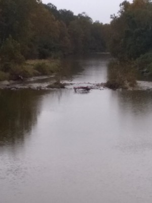 2021-11-02_11-47-59_-_hiking.jpg