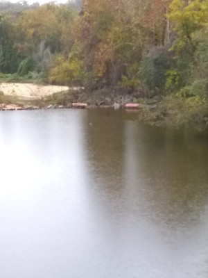 2021-11-02_12-07-24_-_hiking.jpg