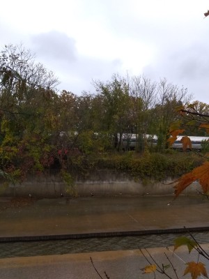2021-11-02_12-22-12_-_hiking.jpg