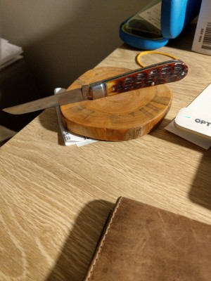 IMAG0744.jpg