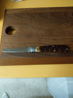 IMAG0747.jpg